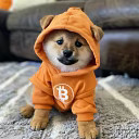 DOG (Bitcoin)